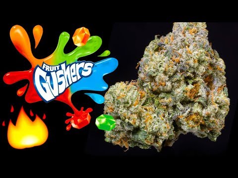 fanta strains