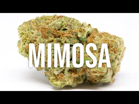 online weed dispensary no medical card