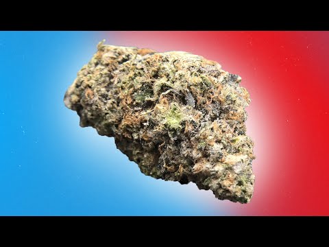 runtz strain uk