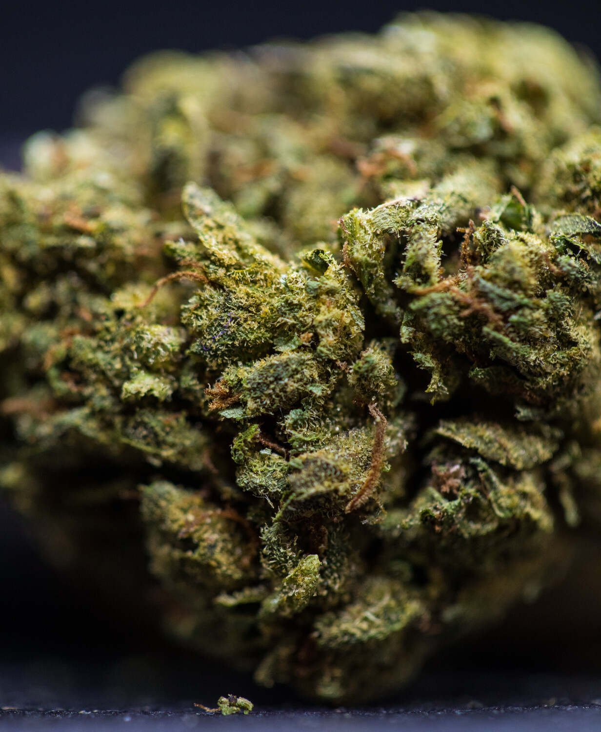 online weed dispensary no medical card