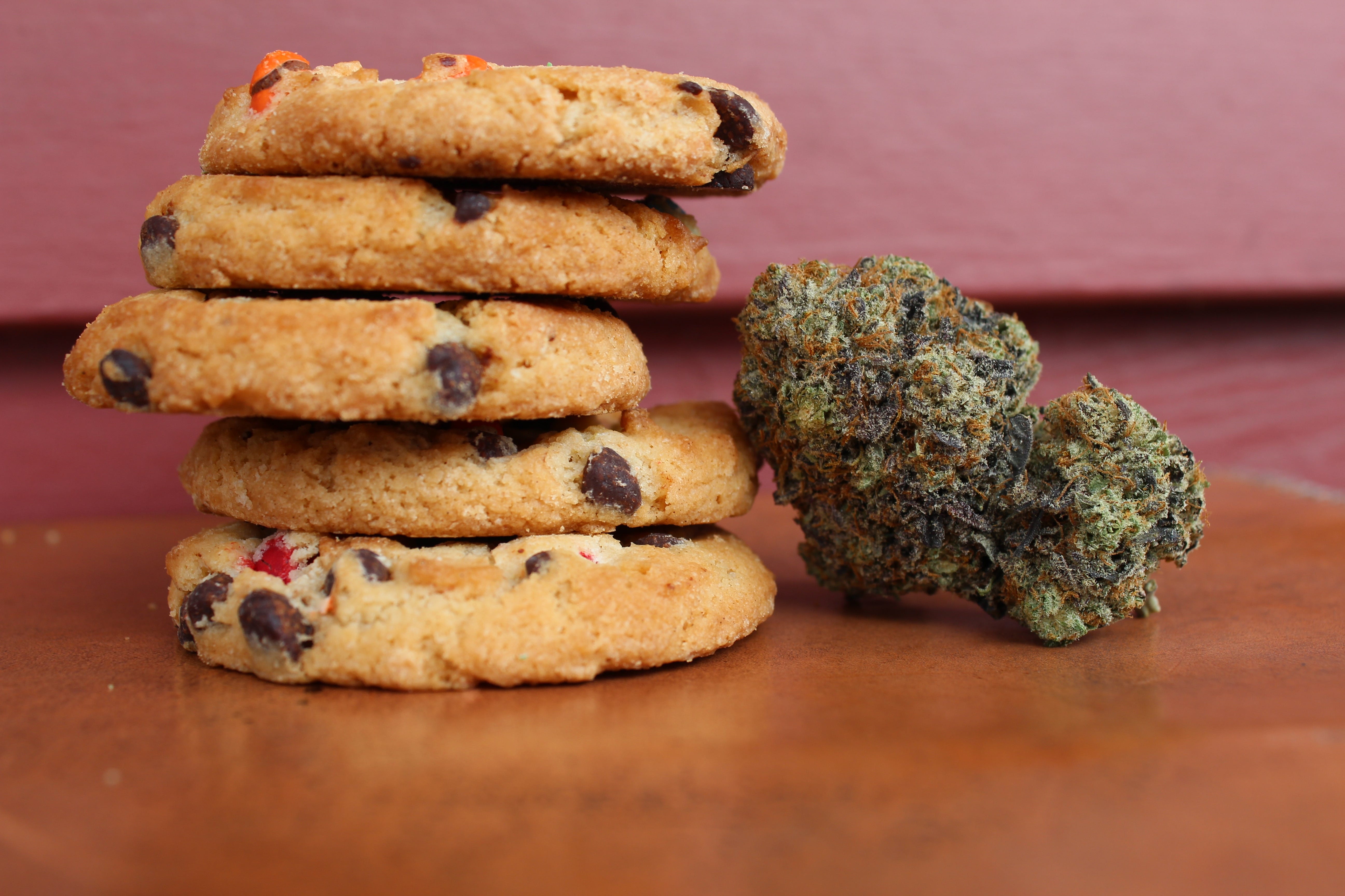 blueberry pie strain
