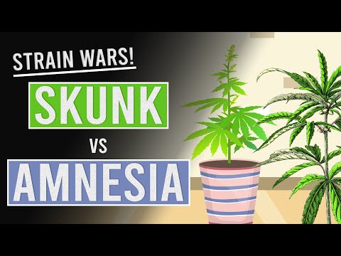 weed vape uk thc