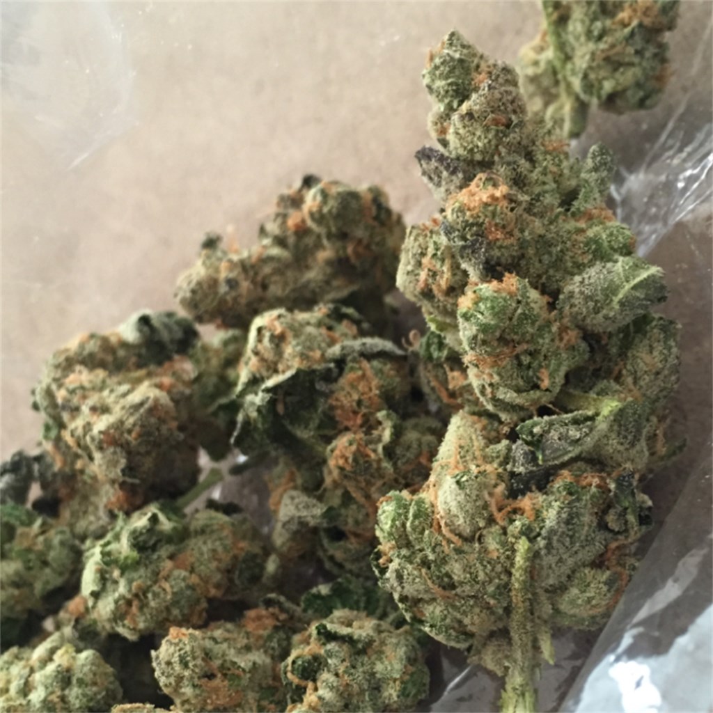 cannabus shop near me