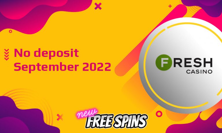 live dealer online casino
