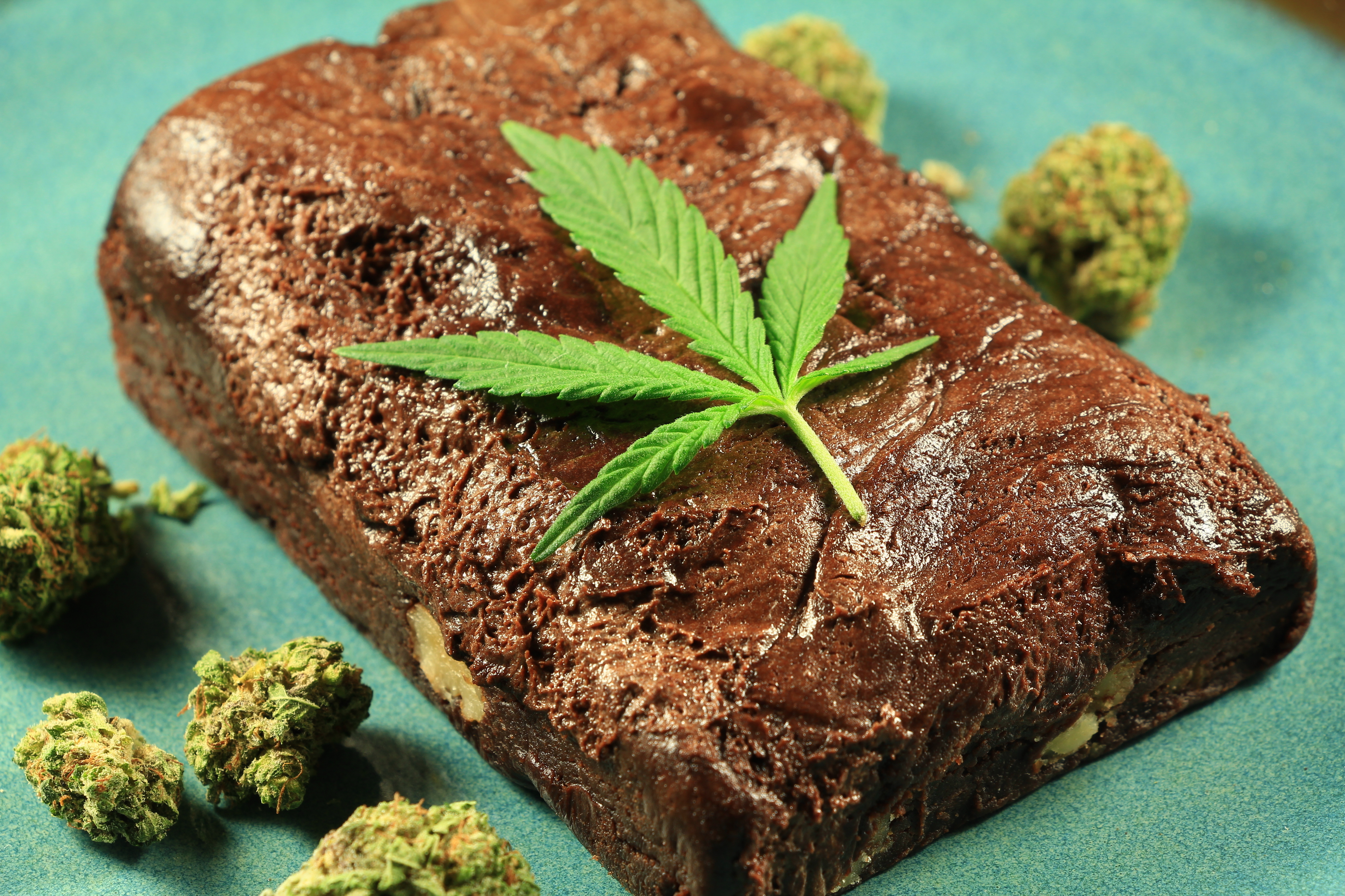 where to buy cannabis in london