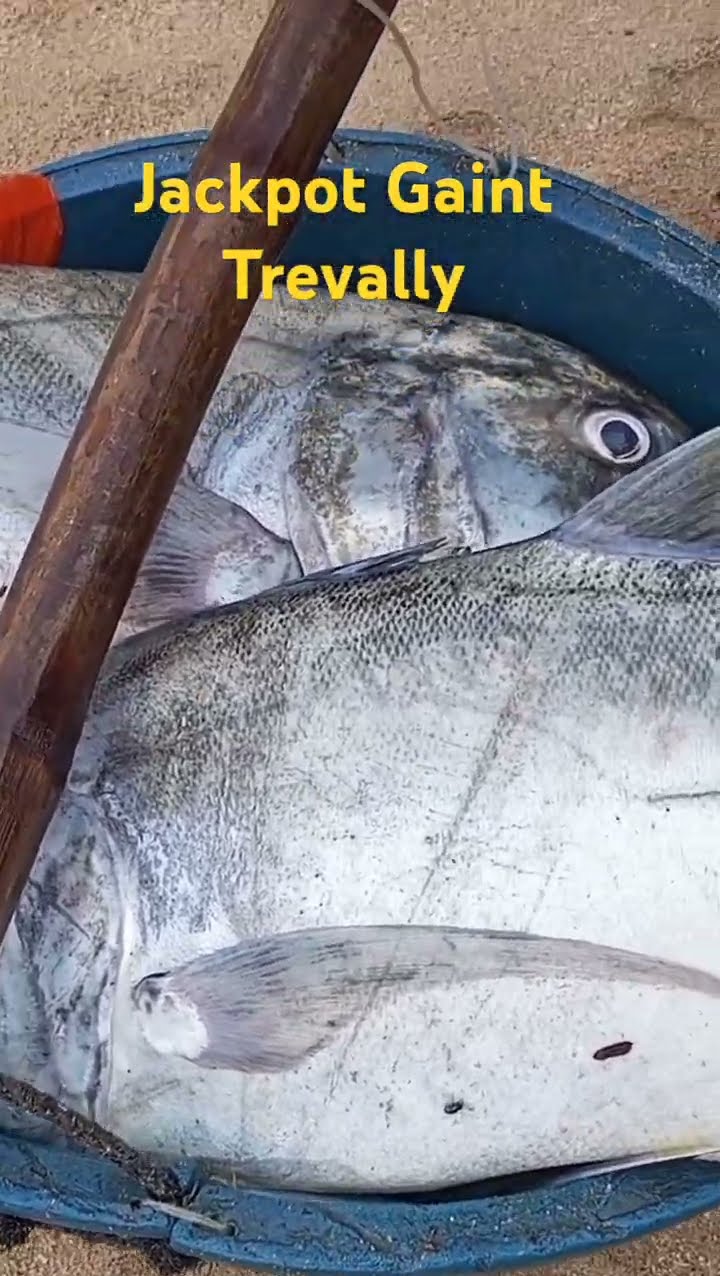fishing jackpot play jili