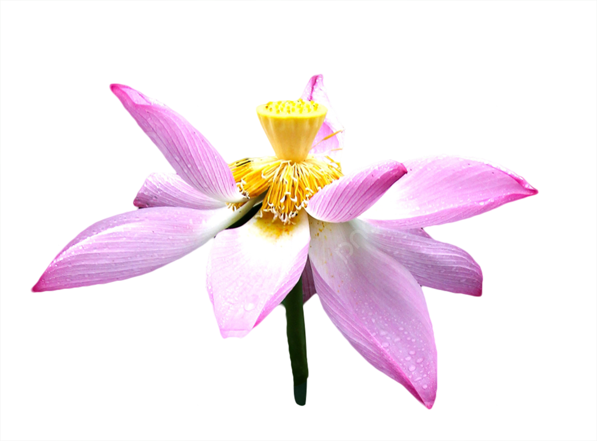 лото клуб ми