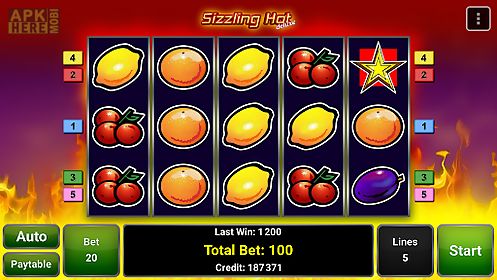 melbet online