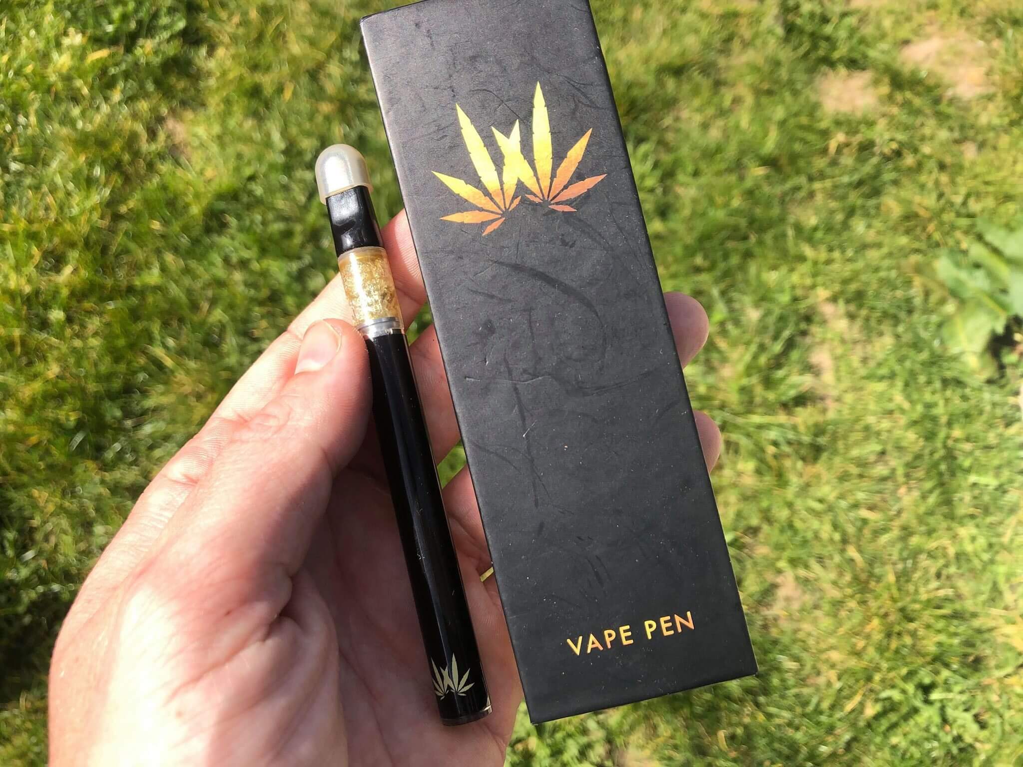 star dawg uk