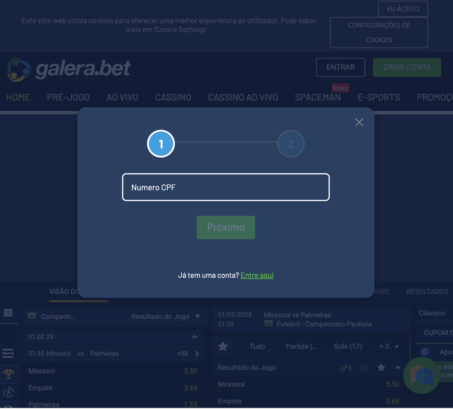 bdm bet opiniones